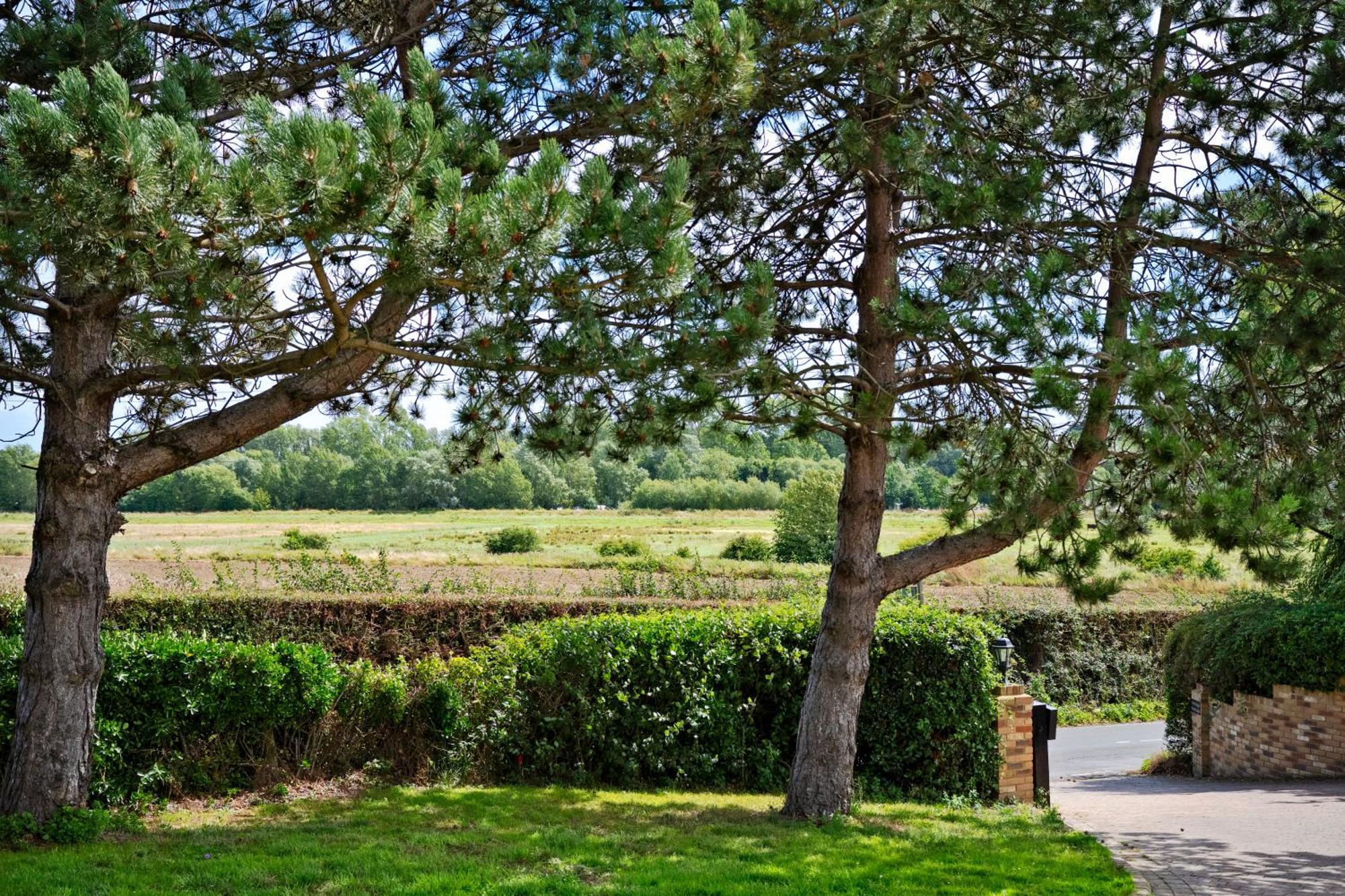 Owlet Lodge Chislet ภายนอก รูปภาพ
